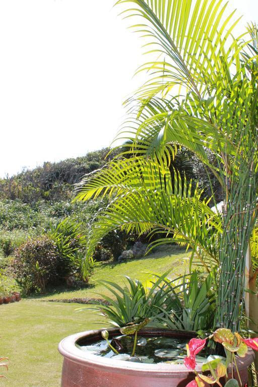 La Casita Kouri Villa Nakijin Eksteriør billede